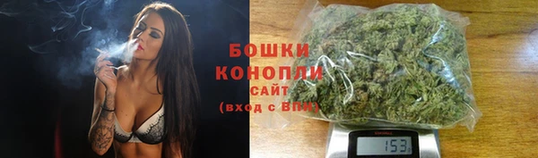 тгк Богородск