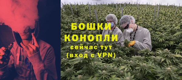 ГАЛЛЮЦИНОГЕННЫЕ ГРИБЫ Богданович